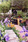 Encaustic tiles and spiral staircase leading to conservatory